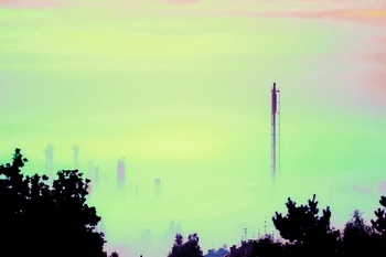 I 020D